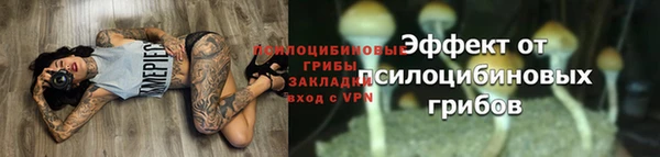 MESCALINE Абаза