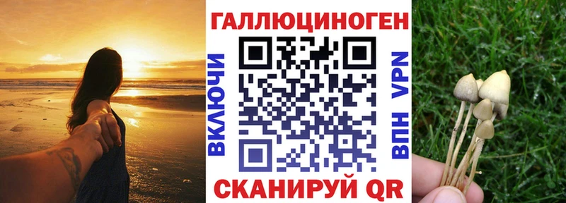 Псилоцибиновые грибы прущие грибы  Ряжск 